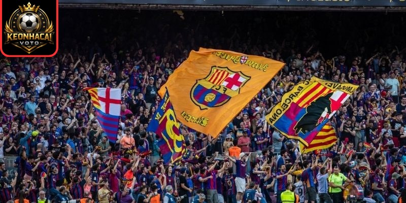 Fan Barca Gọi Là Gì? Văn Hóa Cổ Động Gắn Liền Với CLB 3 Lý do khiến người hâm mộ trung thành với đội bóng