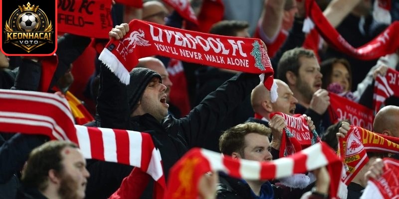 Fan Liverpool Gọi Là Gì? Biểu Tượng Gắn Liền Sân Anfield 3 Danh xưng có tính nhận diện cao nhất