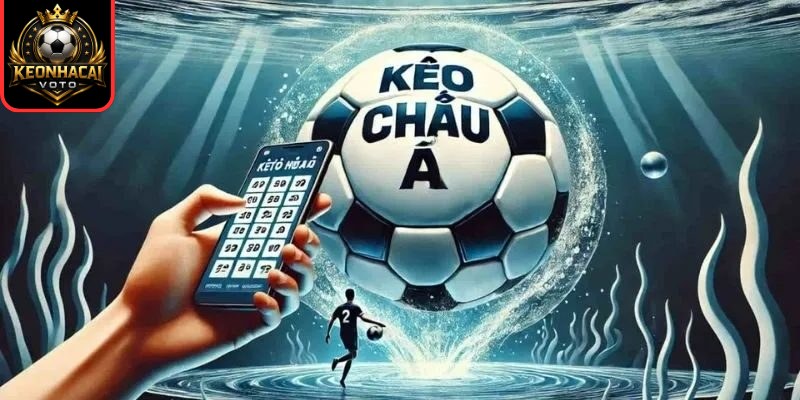 Thuật Ngữ Cá Độ Bóng Đá - Nền Tảng Bắt Buộc Để Hiểu Kèo 1 Loại hình cược châu Á